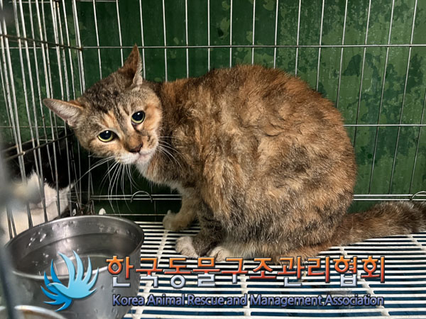 한국동물구조관리협회_411318202300404